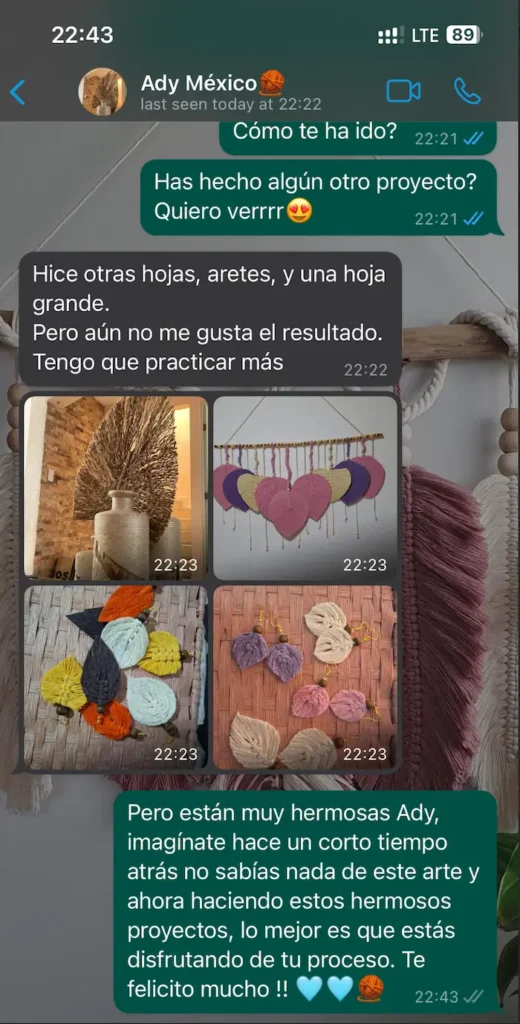 opiniones del programa de la Academia del Macramé